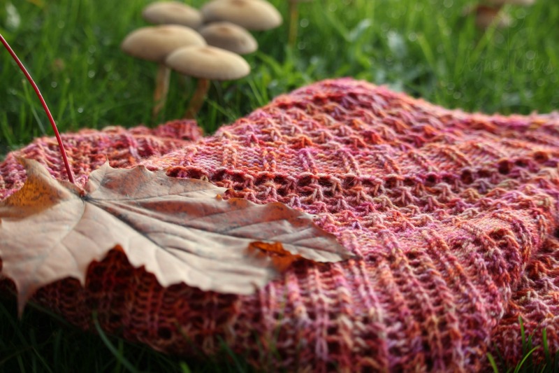 snailyarn autumn mushrooms